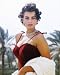 SOPHIA LOREN 11X14 COLOR PHOTO