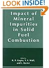 The Impact of Mineral Impurities in Solid Fuel Combustion
