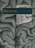 Neuroscience image
