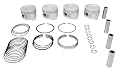 NPR Piston Set - Engine