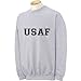 zerogravitee USAF Air Force Crewneck Sweatshirt in Gray
