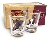 American Expedition Paint Horse SET of (2) Shot Glasses