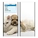 Young Love Design Decal Skin Sticker for Apple iPod nano 2G (2nd Generation) 2GB/ 4GB/ 8GB Player
