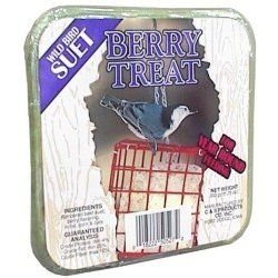 C and S Wild Bird Suet (11.75-oz (24-pack) - berry) by C & S
