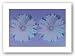 (26x36) Andy Warhol Daisy 1982 Double Purple Art Print Poster