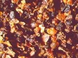 Myrrh Resin, Bulk, 8 OZ.