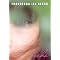 Read the best, most enchanting, young adult novels