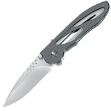 Buck 295DP Tempest, Assisted Opening, Liner Lock Folding Knife