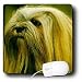 Dogs Lhasa Apsos - Lhasa Apsos - Mouse Pads Dogs Lhasa Apsos - Lhasa Apsos - Mouse Pads