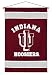 Indiana Hoosiers Sideline Wall Hanging (29x45) NCAA