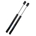 Rear Trunk Liftgate Gas Struts for 2001-2006 Chrysler Sebring - Trunk Gas Shocks Rear Hatch Lift Supports (Pack of 2 / Pair / 2pc)
