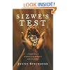 Sizwe's Test: A Young Man's Journey Through Africa's AIDS Epidemic