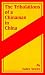 The Tribulations of a Chinaman in China