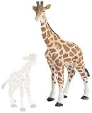 Adult Giraffe, Wild Safari