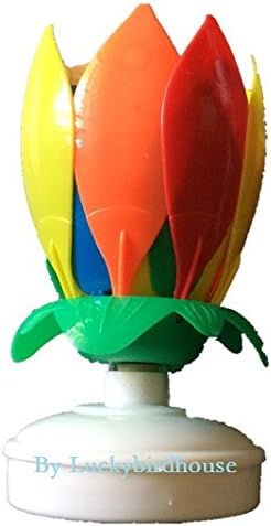 Luckybh Multicolor Petal 14 Candelilla Rotating Music Birthday Candle (1 Pcs)