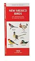 New Mexico Birds: An Introduction to Familiar Species
