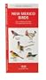 New Mexico Birds: An Introduction to Familiar Species (State Nature Guides)