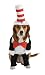 Cat in the Hat Dog Halloween Costume