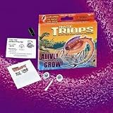 Buy Triassic Triops -- Just Add Water! by Triops