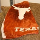 Texas Longhorns Stripes Series Royal Plush Blanket Throw