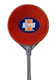 Bergamot Illinois Fighting Illini Driveway Reflector