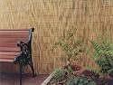 Reed Screen - 5m x 1.5m Natural