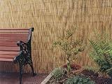 Reed Screen - 5m x 1.5m  Natural