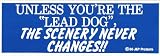 UNLESS YOU'RE THE LEAD DOG, THE SCENERY NEVER CHANGES!! (BLUE) decal bumper sticker
