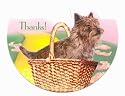 Wizard Of Oz Party Thank You Cards 8 Pack