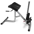 BodyCraft F670 Hyper-Extension / Roman Chair