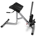 BodyCraft F670 Hyper-Extension / Roman Chair