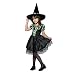Lime Striped Witch Child Costume Image