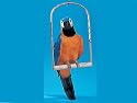 SS-CK141C, Parrot - Large On Cage