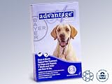 Single Dose Advantage Flea Control for Dogs Over 55 Pounds USA / EPA