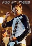 The Foo Fighters Poster Concert Shot Dave Grohl of Nirvana