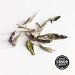 White Peony White Tea (250g Foil) by Canton Tea Co