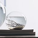 Small 4" Round EcoSphere