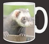 Ferret Print Animal Gifts Coffee/Tea Mug
