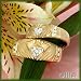 14K Men's Satin & Polished Diamond Claddagh Band