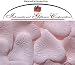 Heart Shaped Silk Rose Petals Wedding Favors Decor - 100 Count - Pale Pink