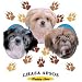 Lhasa Apsos-Puppy Love Adult T-Shirt