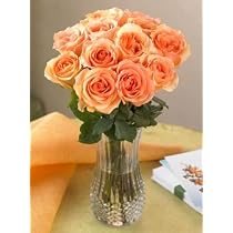 One Dozen Peach Roses