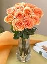 One Dozen Peach Roses