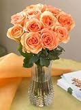 One Dozen Peach Roses, Eco-Friendly - Large Headed, Long-stemmed Rose Bouquet