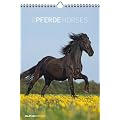 Pferde 2012. Kalender 23,7 x 34 cm mit Ringbindung