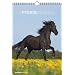 Pferde 2012. Kalender 23,7 x 34 cm mit Ringbindung