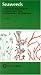 Seaweeds: A Color-Coded, Illustrated Guide to Common Marine Plants of the East Coast of the United States (Keystone Books)