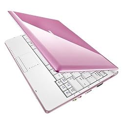 Samsung NC10-11GP 10.2-Inch Pink Netbook - 6 Cell Battery