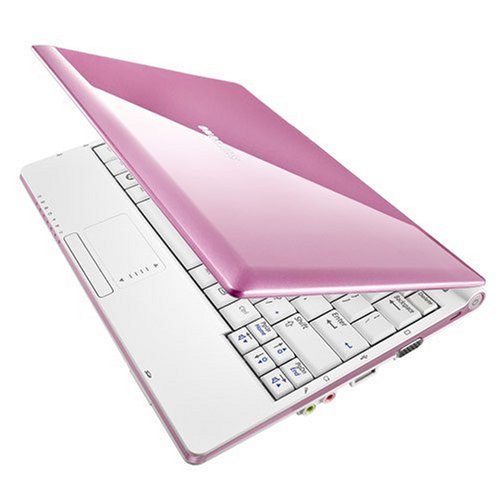 Samsung NC10-11GP 10.2-Inch Pink Netbook - 6 Cell Battery