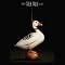 Extended Sound Of The 80s / Schn�ppchen